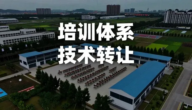 项目执行中智能管理系统的关键选择要素分析